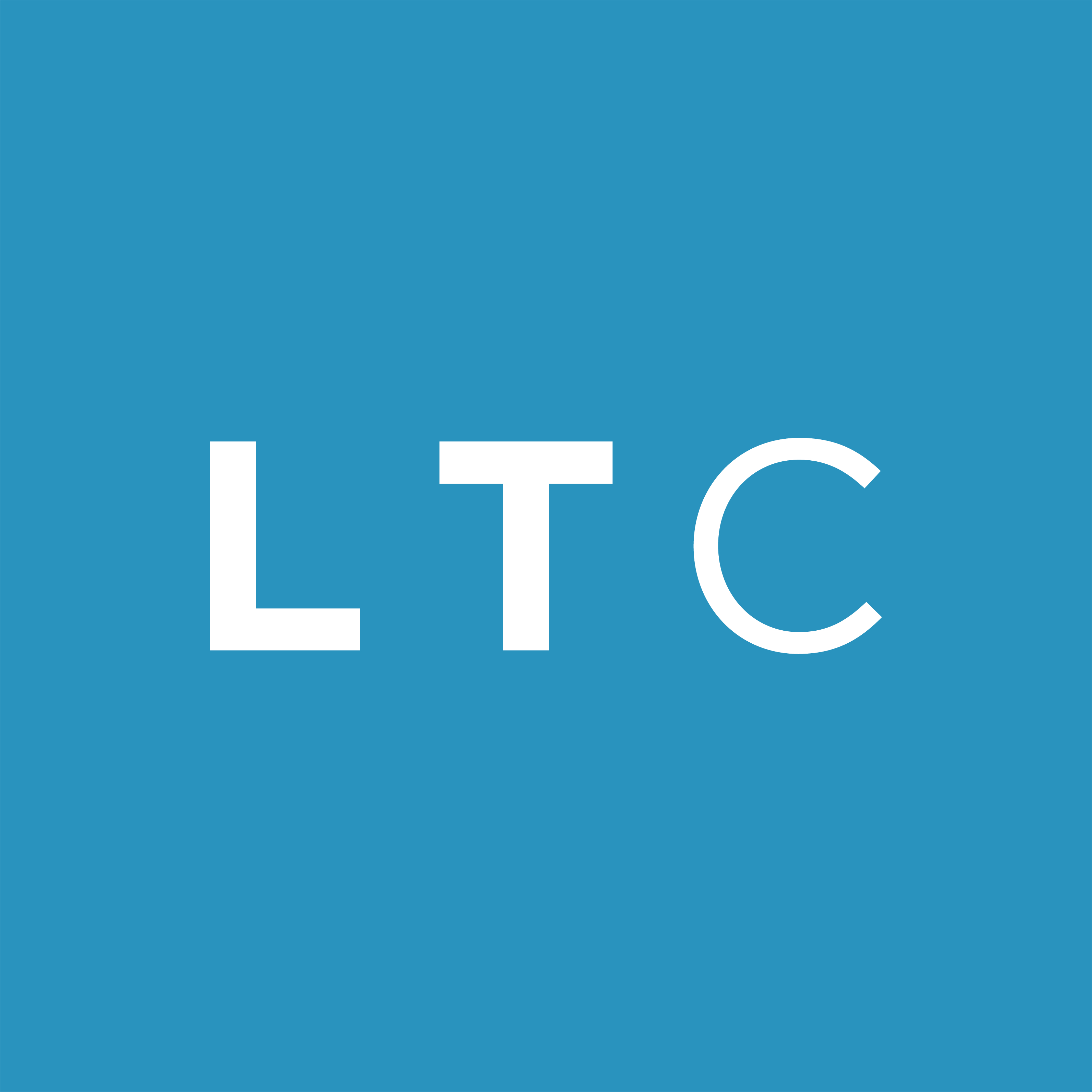LT CAPITAL