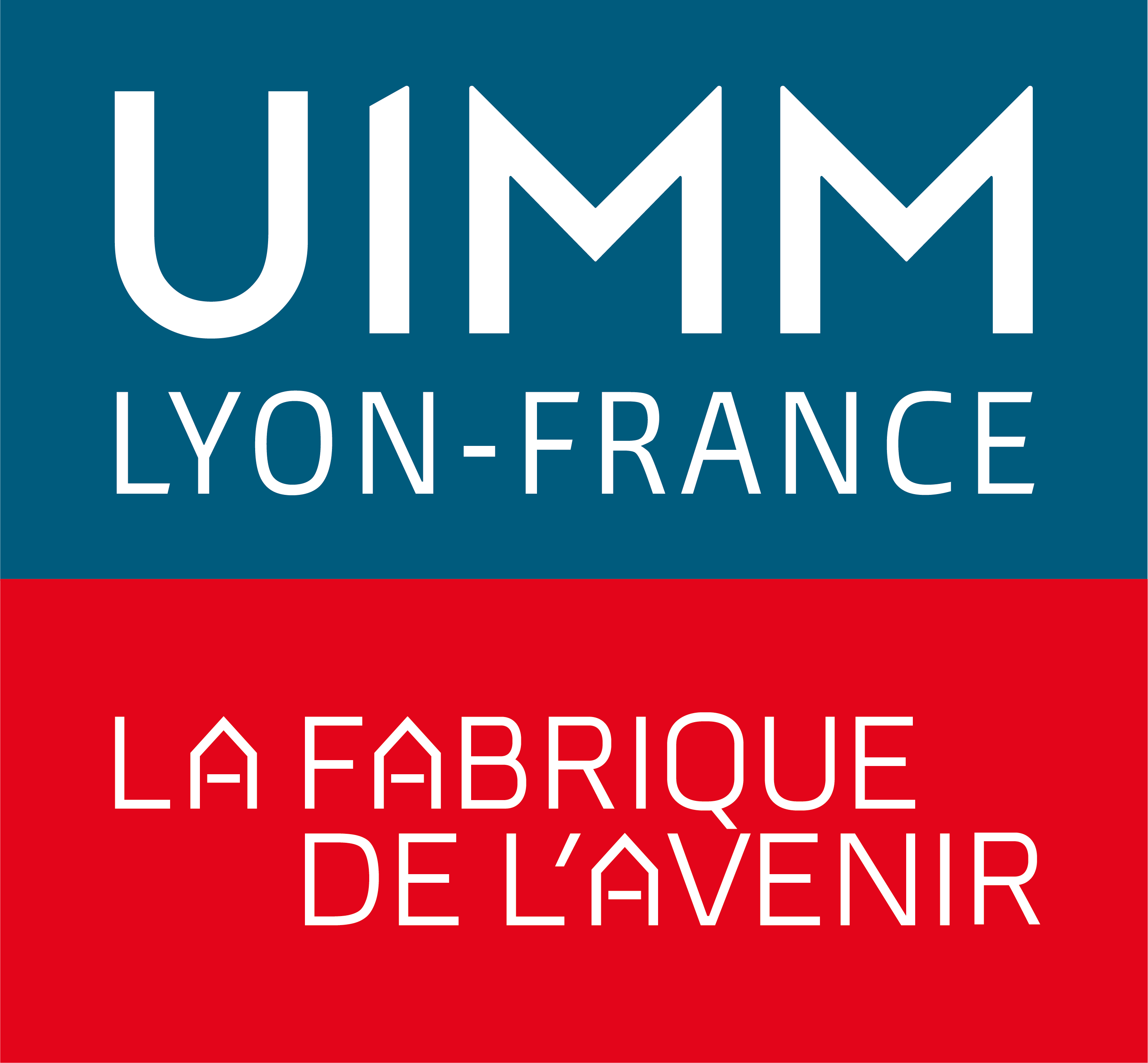 UIMM LYON-France
