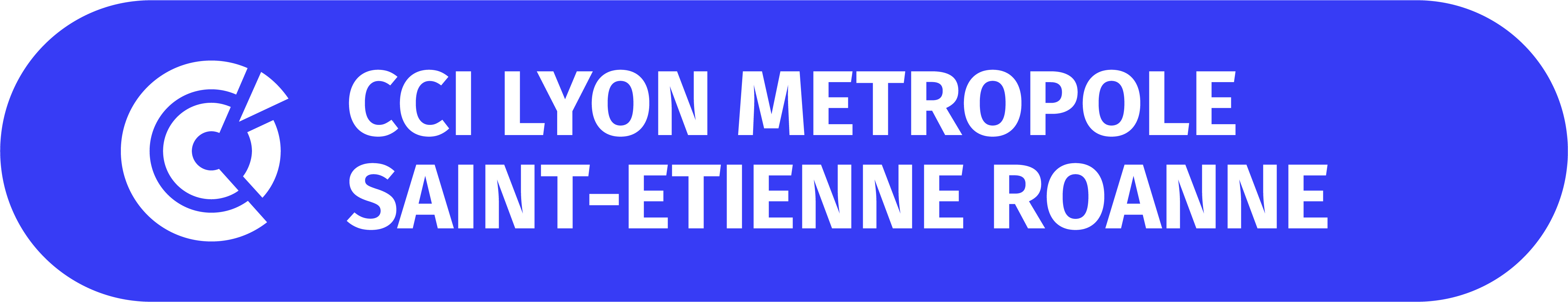 CCI Lyon Métropole Saint-Etienne Roanne