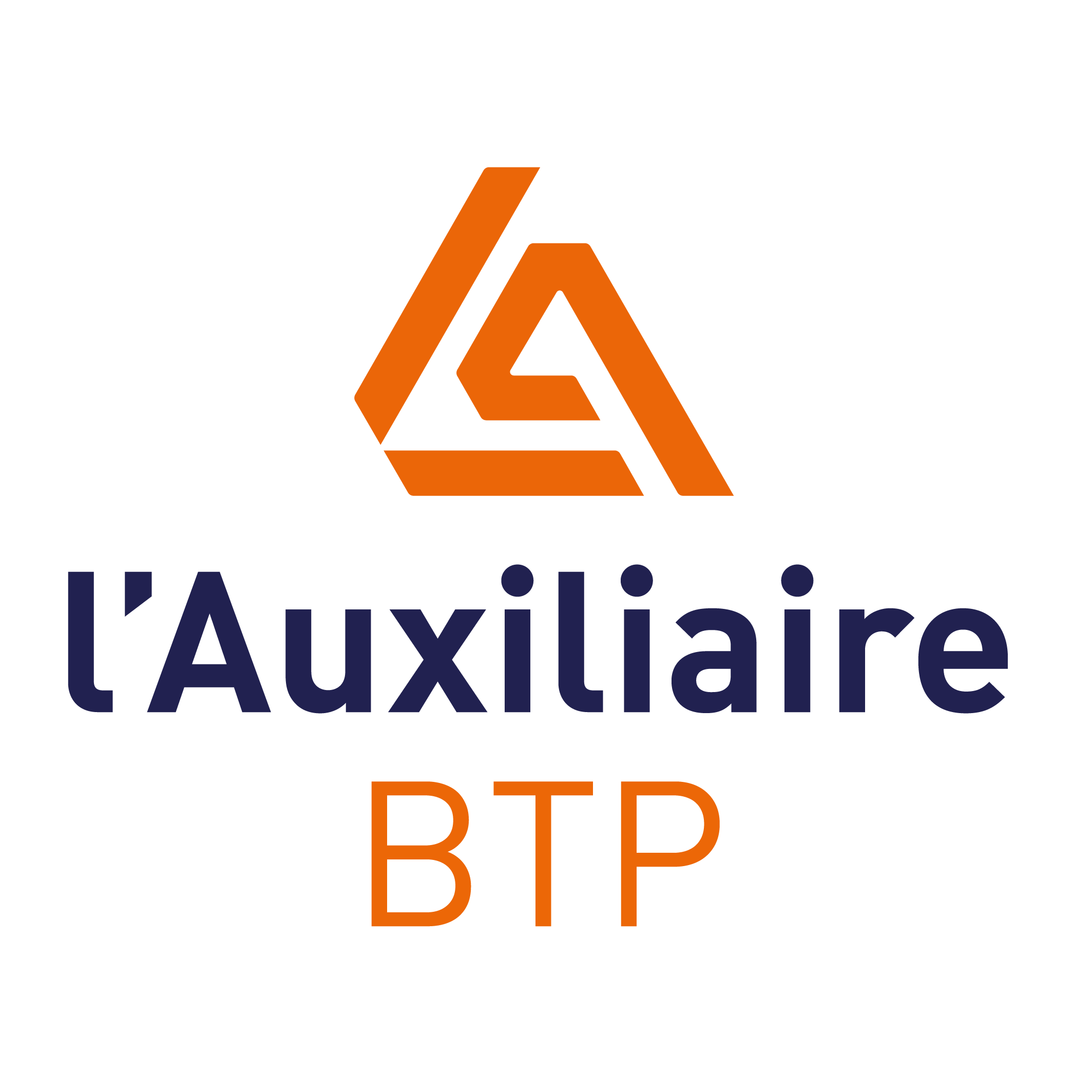 L'Auxiliaire