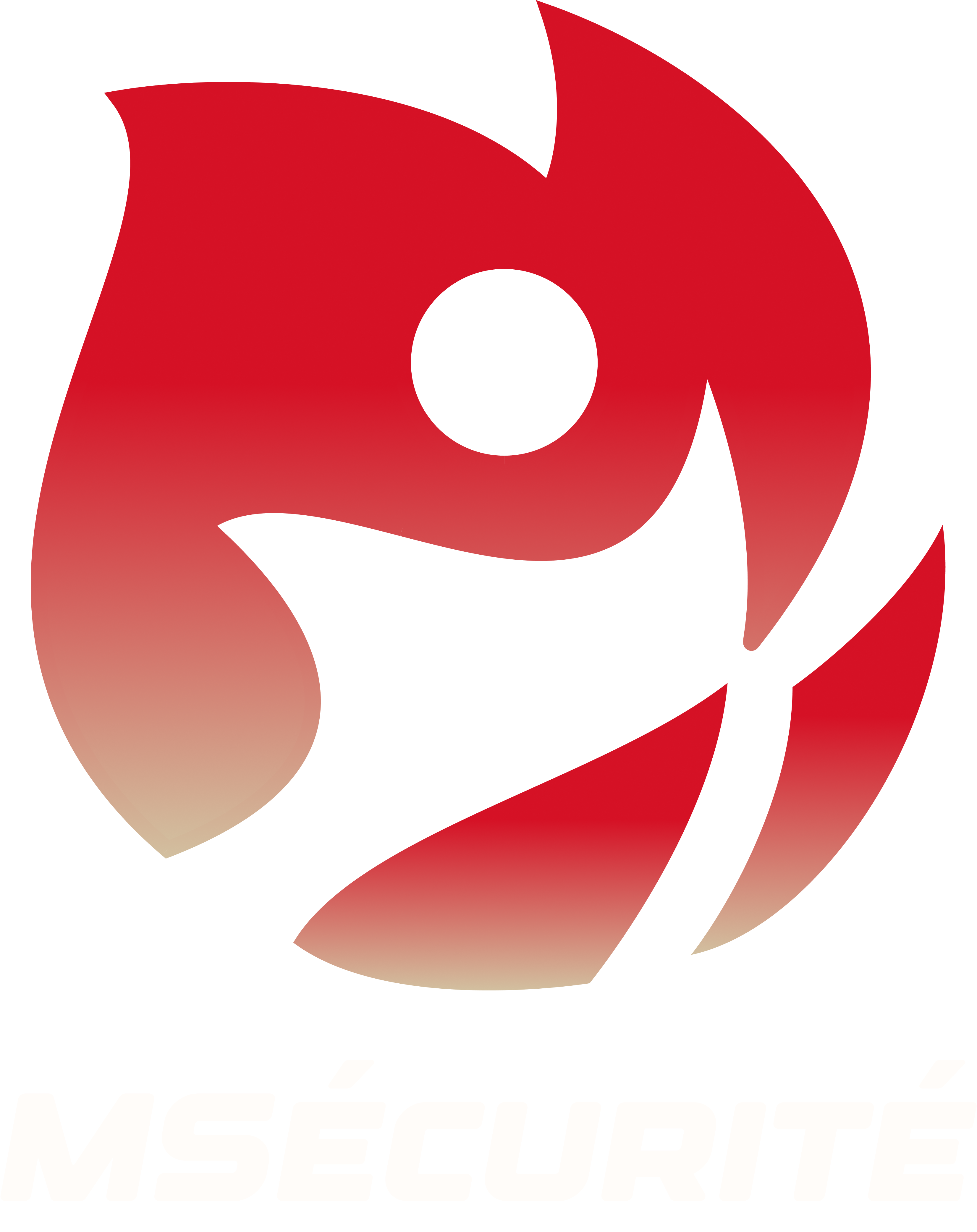 MSécurité SAS