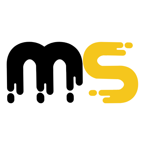 MS FORMATION PRO