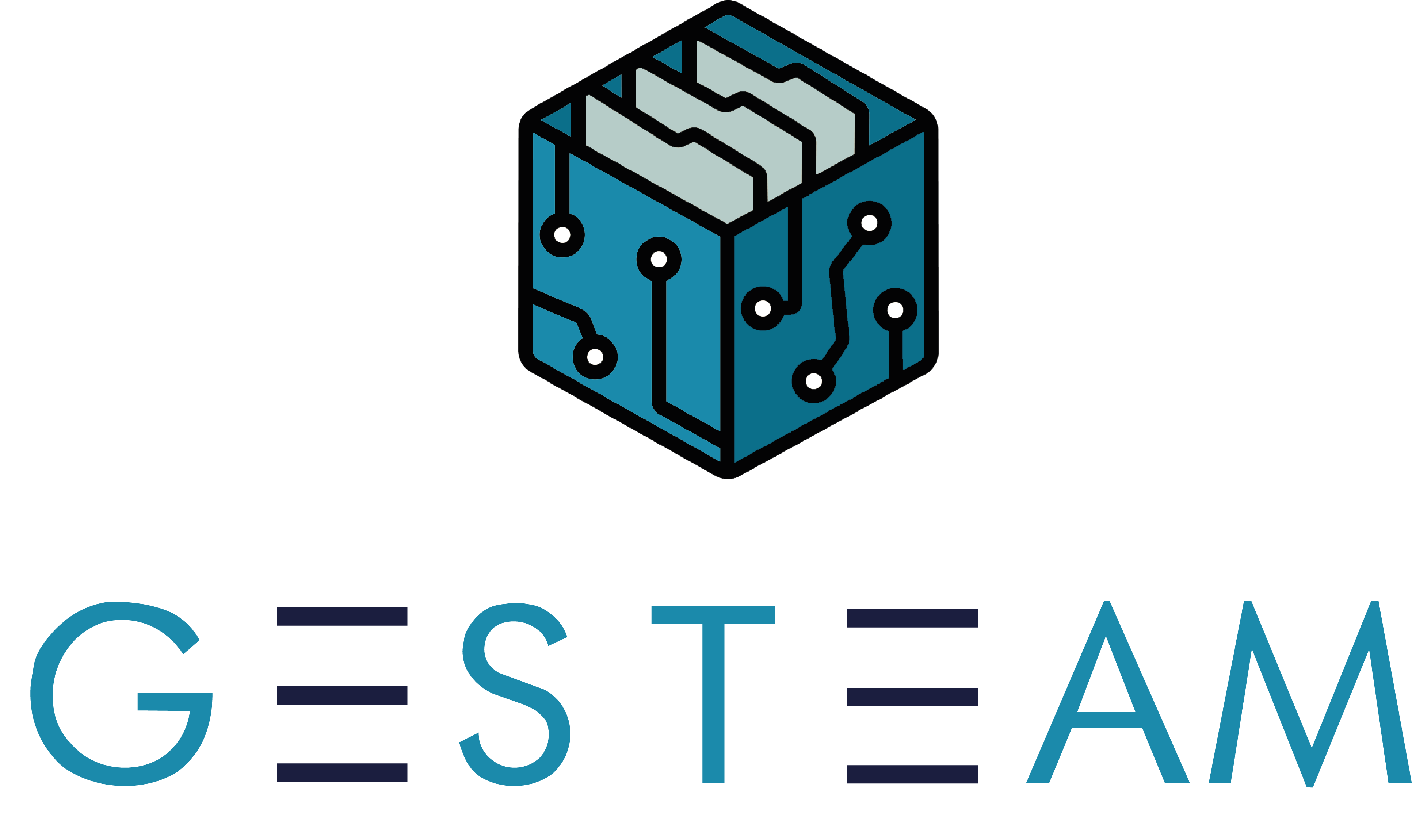 GESTEAM