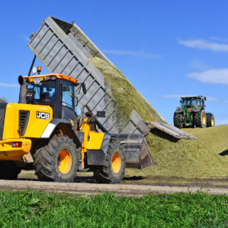 Ensilage : 4 réflexes pour limiter les pertes au silo