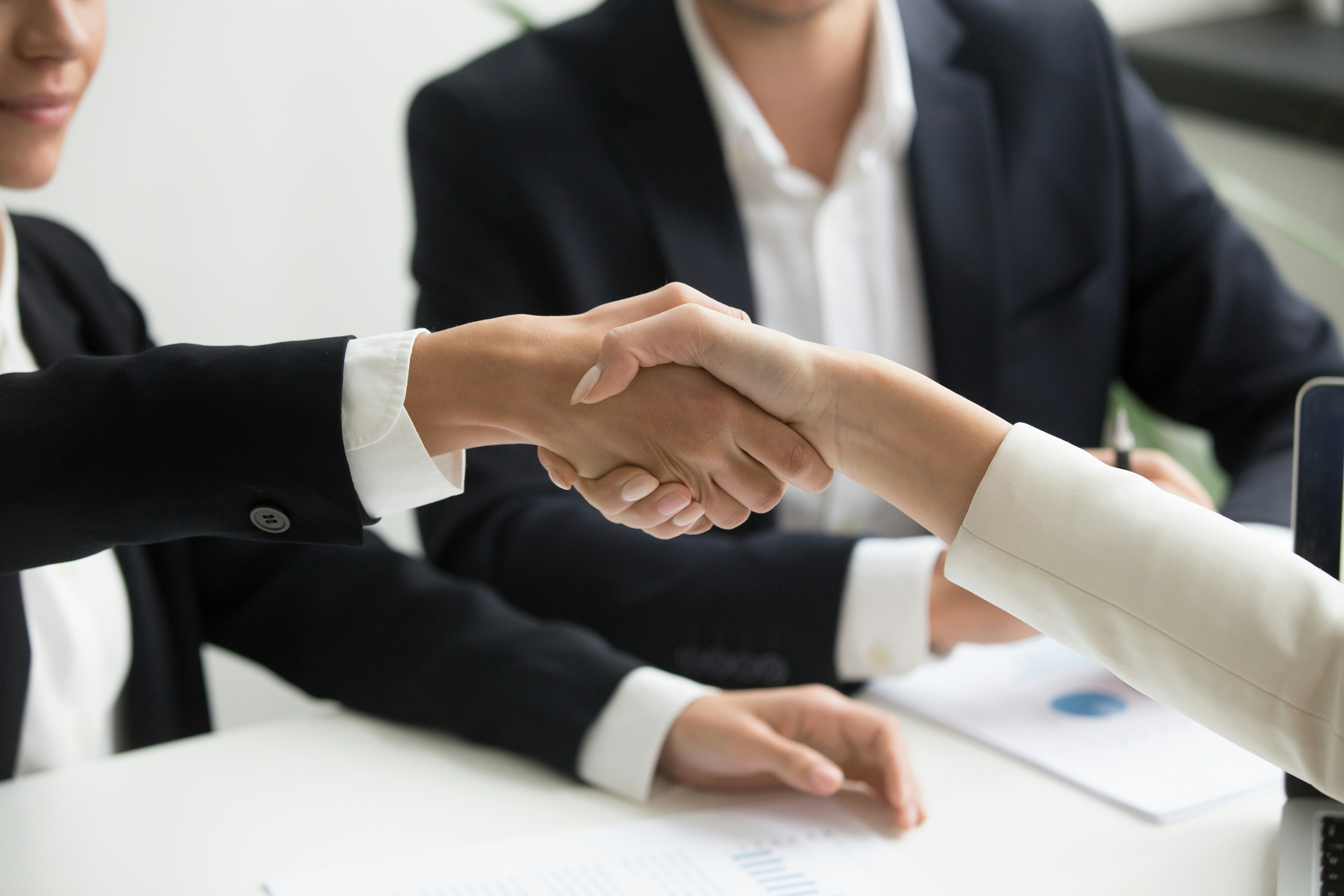 PWN Netherlands: VP Partnerships