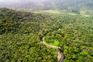 The green transition of SMEs in Latin America and the Caribbean
