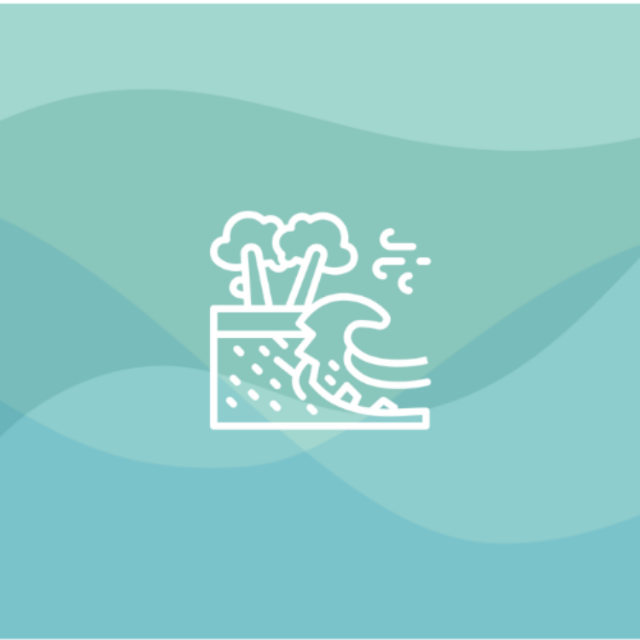 Coastal Solutions