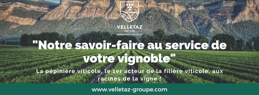 PEPINIERES VITICOLES VELLETAZ GROUPE