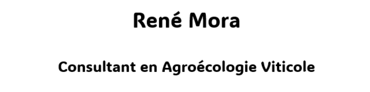 RENE MORA