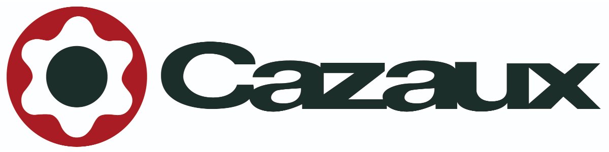 CAZAUX PUMPS