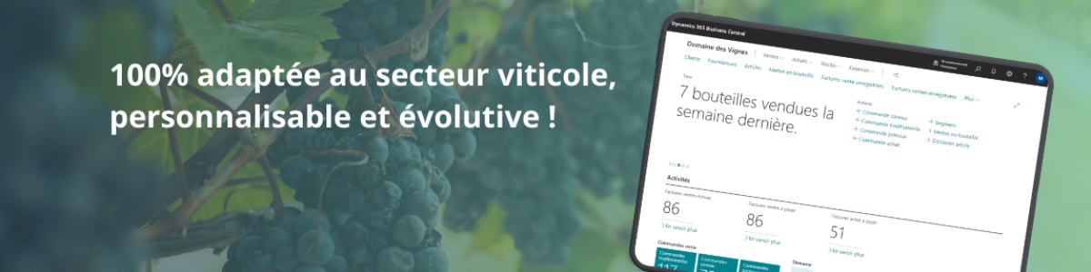 CAP VISION - CAP VIGNES