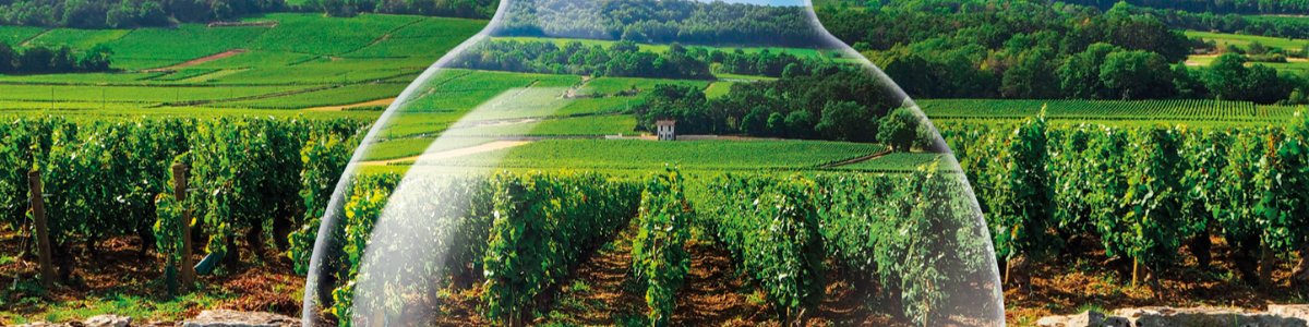 WINEGLOBE