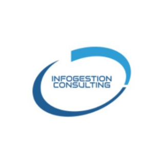 Infogestion Consulting
