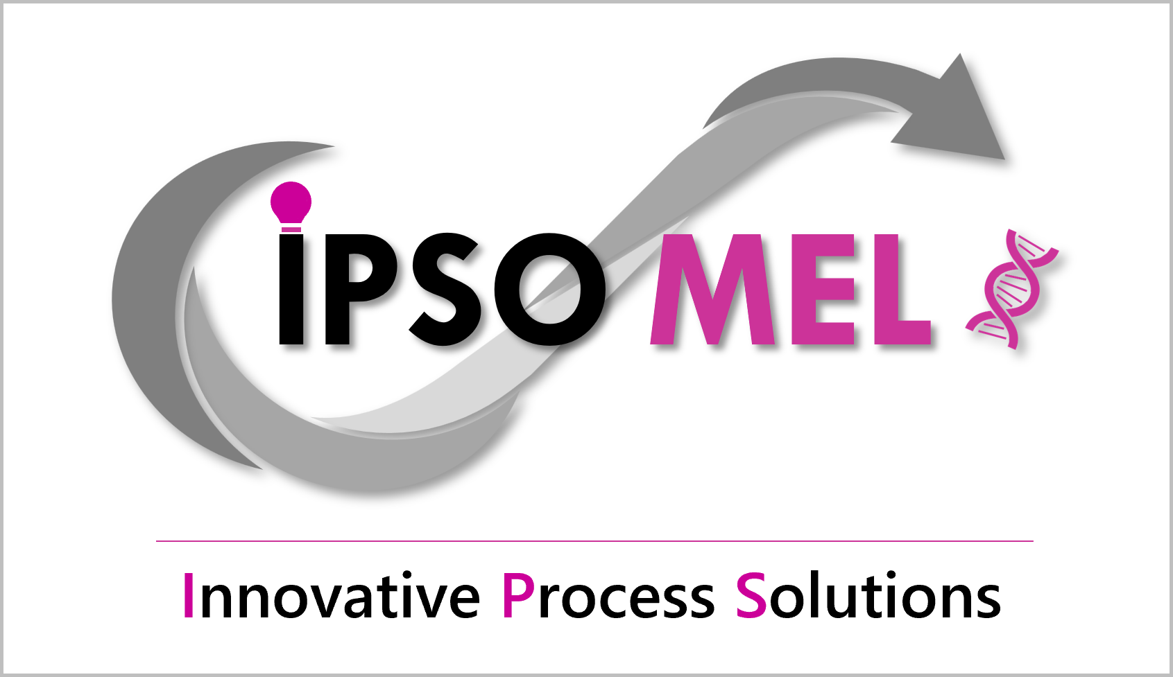 IPSOMEL INNOVATION