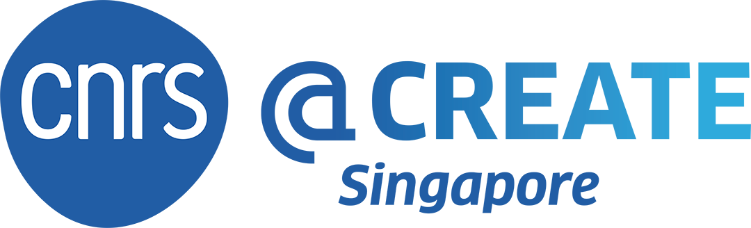 CNRS Create