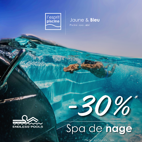 Spa de nage EndlessPool™ E550 