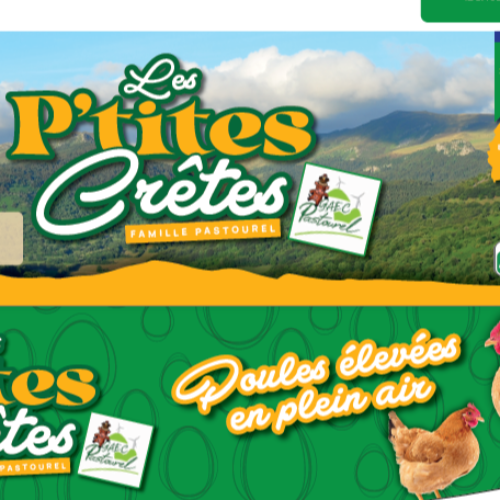 Douzaine d'oeufs frais plein air 