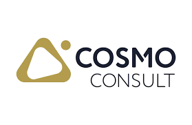 COSMO CONSULT