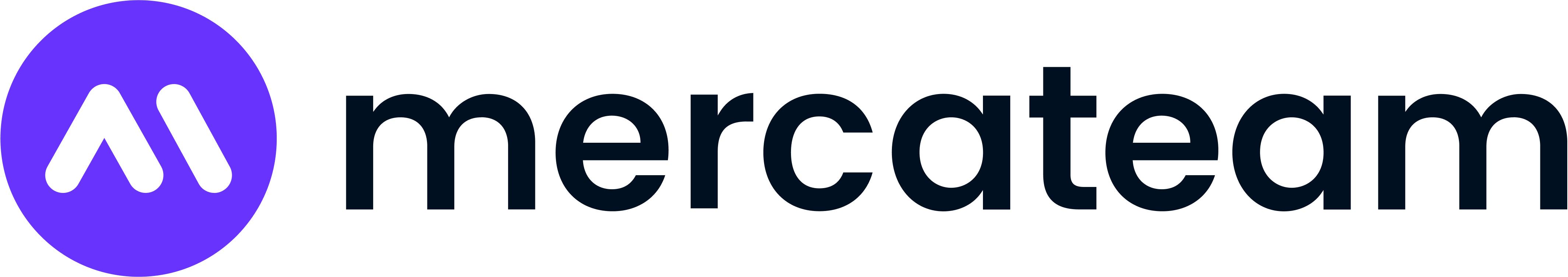 Mercateam
