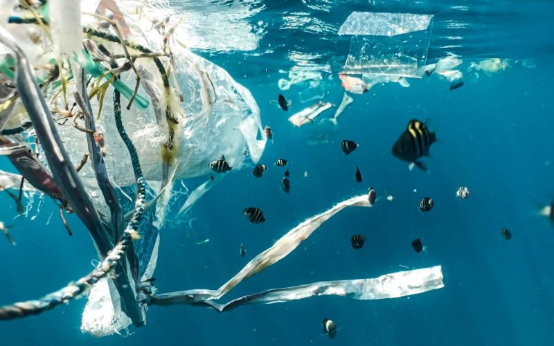 Shedding data: Moving from awareness to action