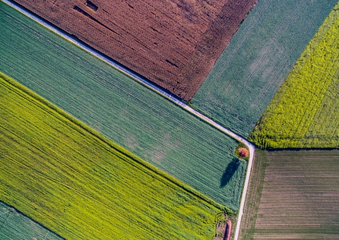 Technology is a catalyst, not the end goal