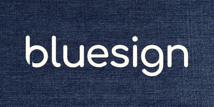 Bluesign logo