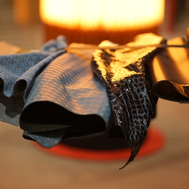 Leather Forum on PV Paris