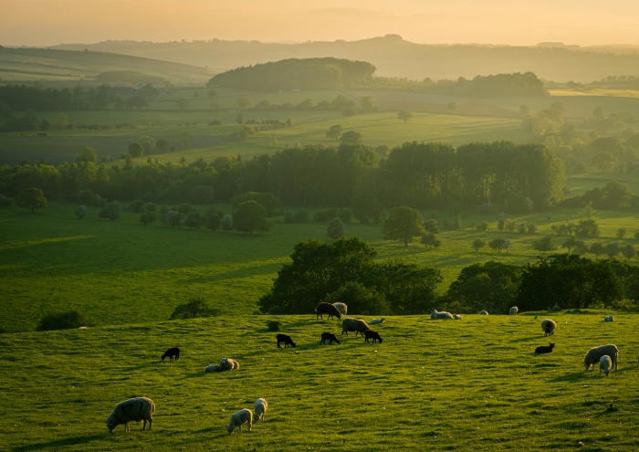 Regenerative agriculture and fashion