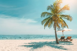 ANews Sécurité part en vacances !