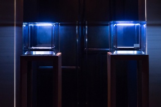 Cambriolage au musée Lalique : la sécurité des collections patrimoniales de nouveau interrogée