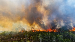Feux de forêt : Sébastien Lecornu lance une mission parlementaire avant la présentation du projet de loi sécurité civile