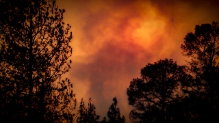 « Il n’y pas de fumées sans feu » : Comment Axis  communications aide à anticiper les incendies estivaux ?