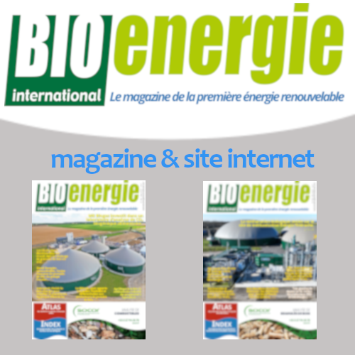BIOENERGIE INTERNATIONAL