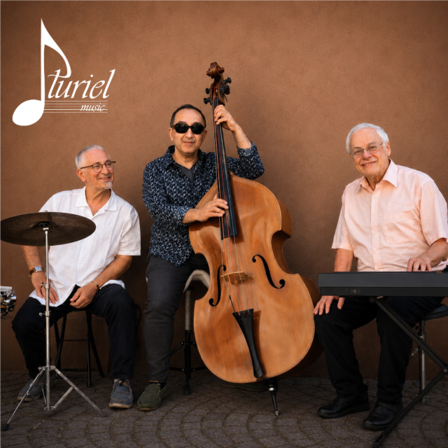 Concert - Pluriel Music