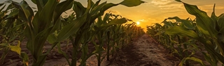 SIMA Farming Awards