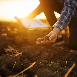 L’Agriculture de conservation est à recommander pour la préservation et l’amélioration de la biodiversité