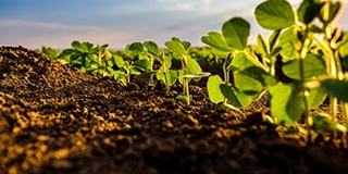 L’Agriculture de conservation est avant tout une réponse à l’érosion des sols agricoles