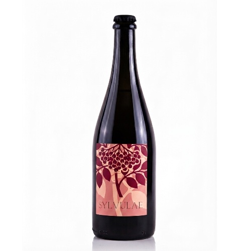 S.Brusco - Fermented beverage made from elderberries and elderflowers
