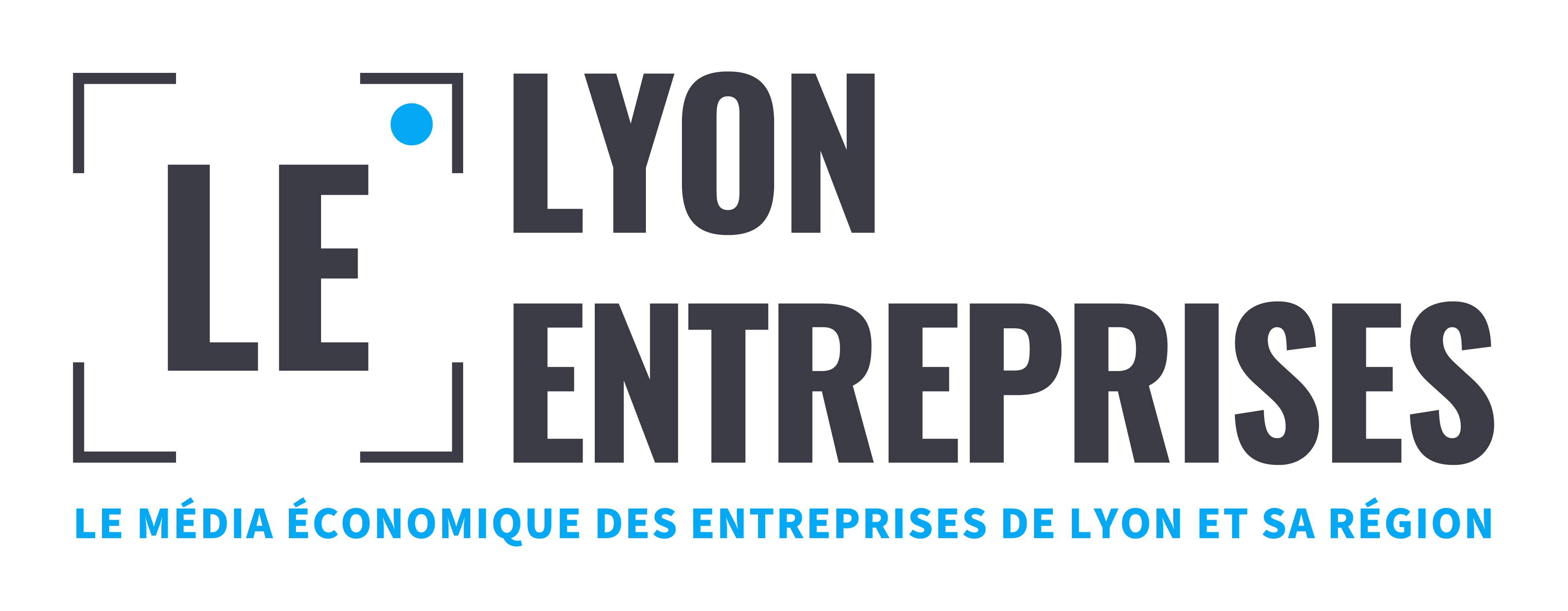 Lyon Entreprises 