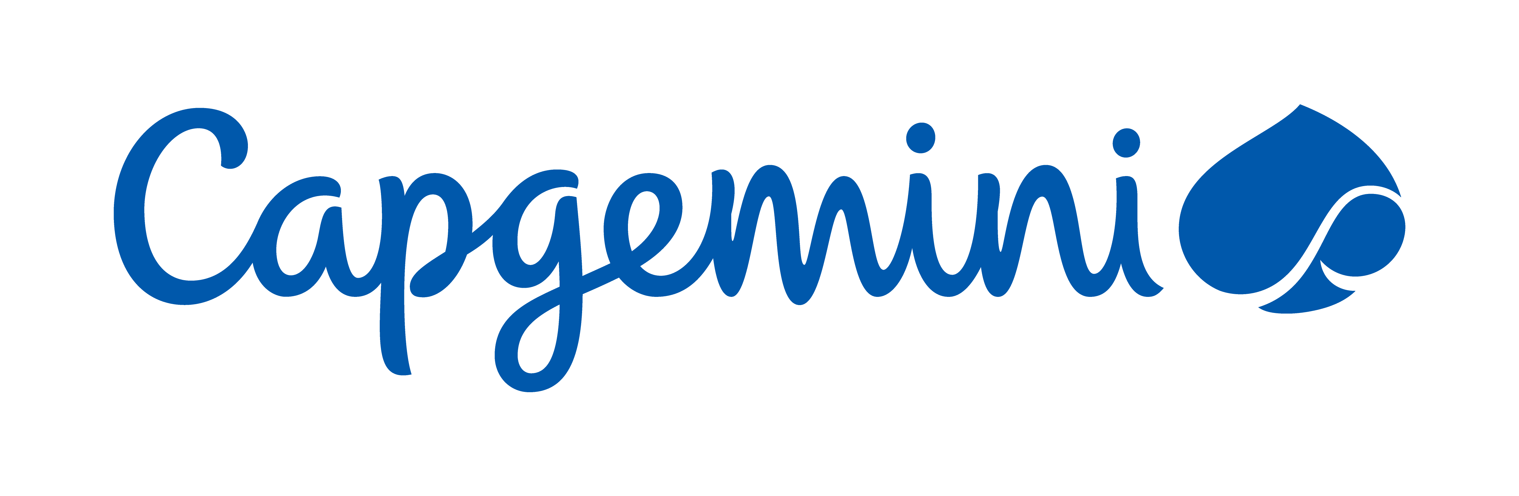 CAPGEMINI TECHNOLOGY SERVICES