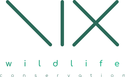 NIX AIR SOLUTIONS