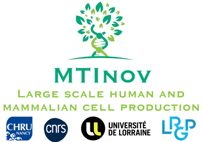 MTInov