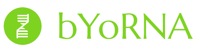 bYoRNA