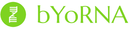 bYoRNA