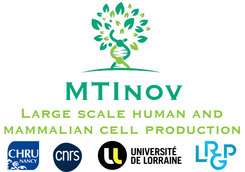 MTInov