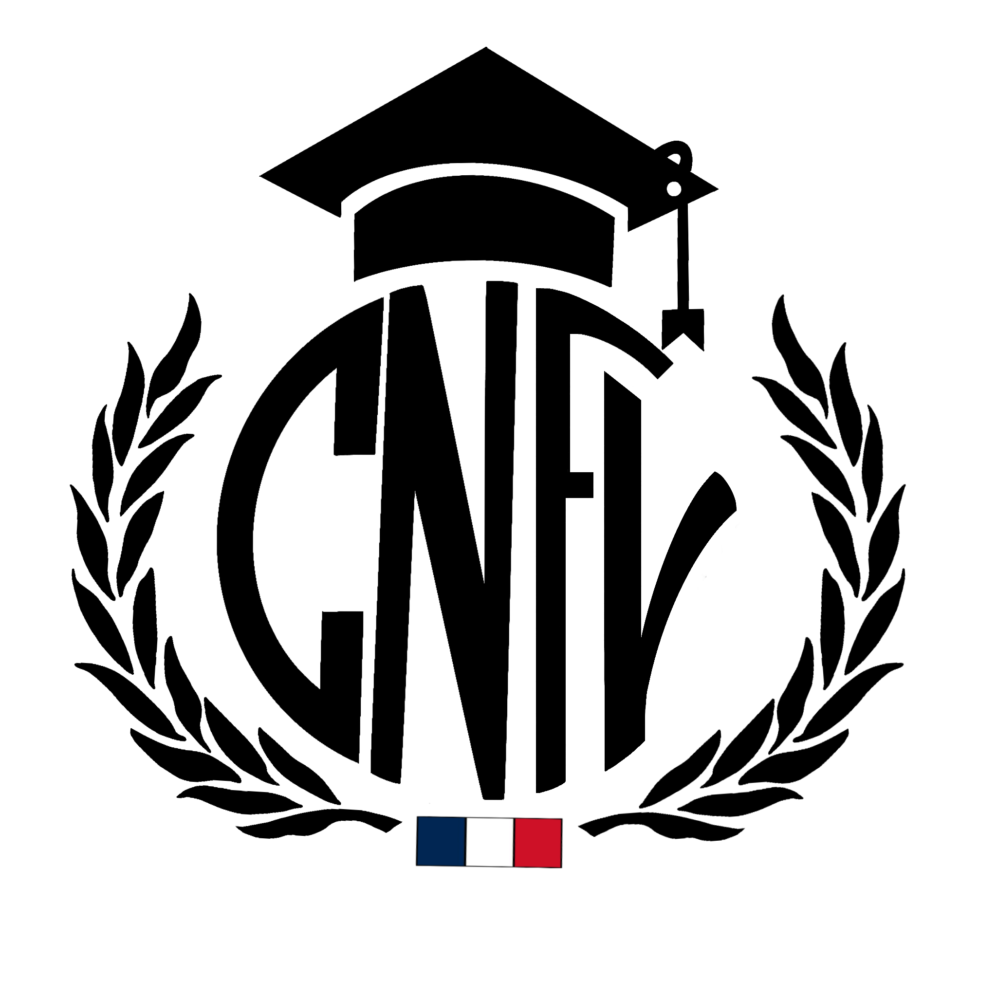 CNFV CENTRE NATIONAL DE FORMATION VIRTUELLE