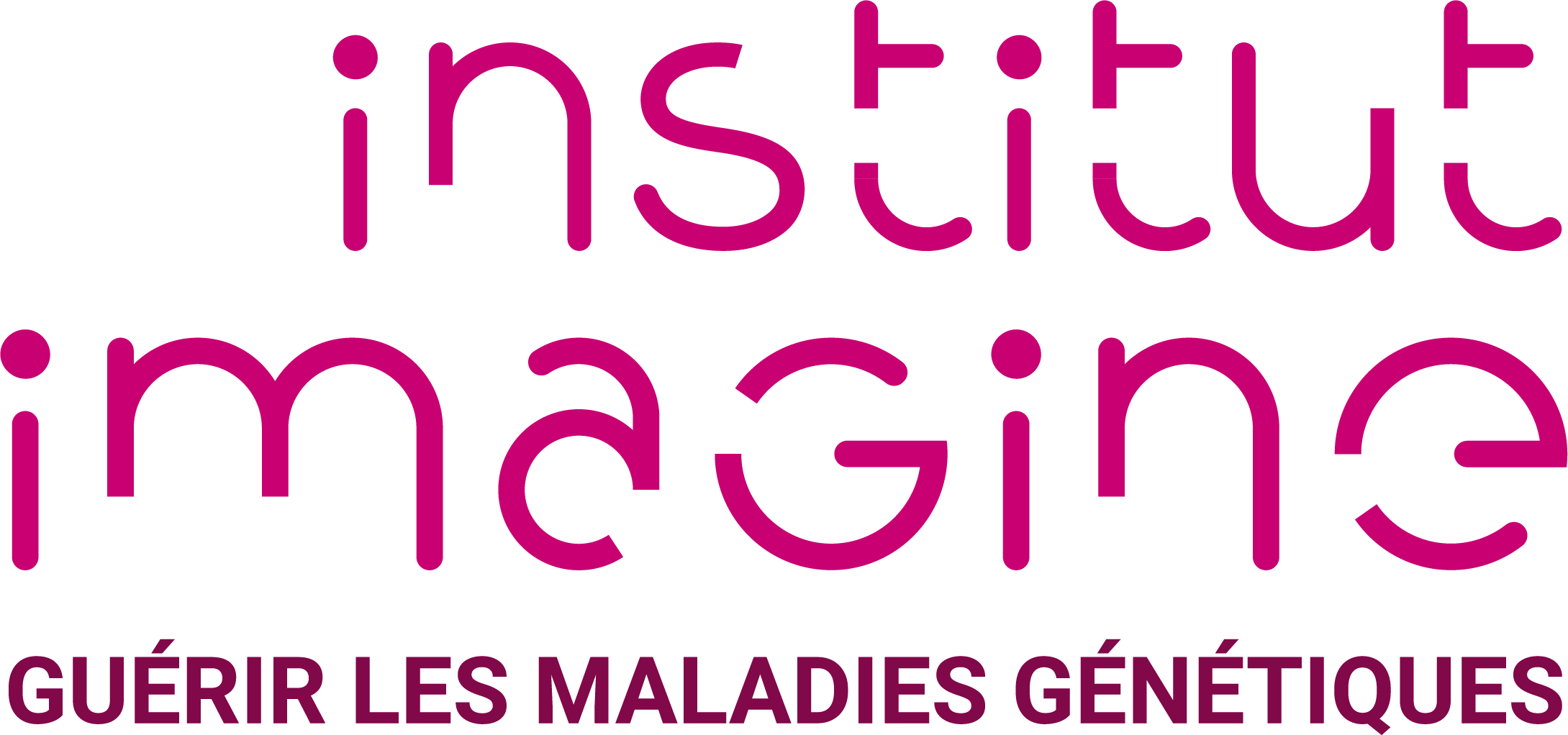 Institut Imagine