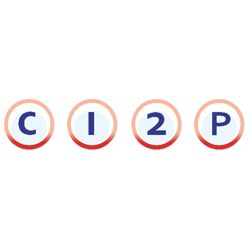 CI2P (Caoutchouc Industriel Plastique Protection)