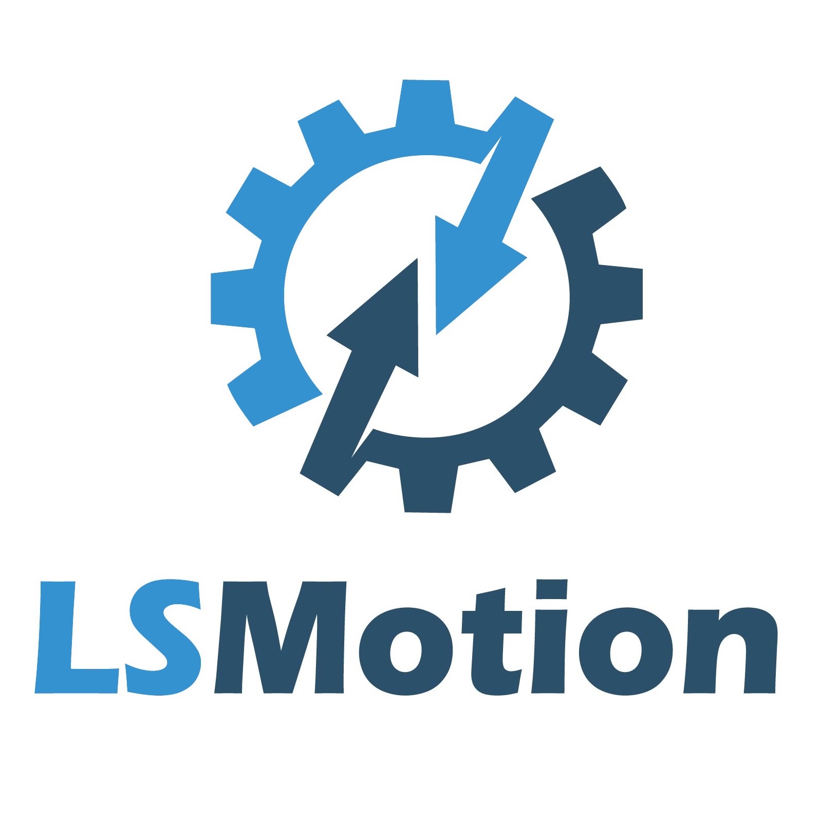 LSMOTION