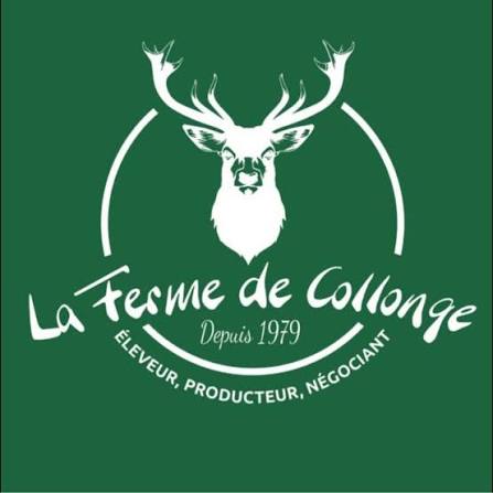 FCVB X Ferme de collonges 